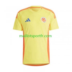 Maillot de Foot ColombieDomicile  Copa America 2024